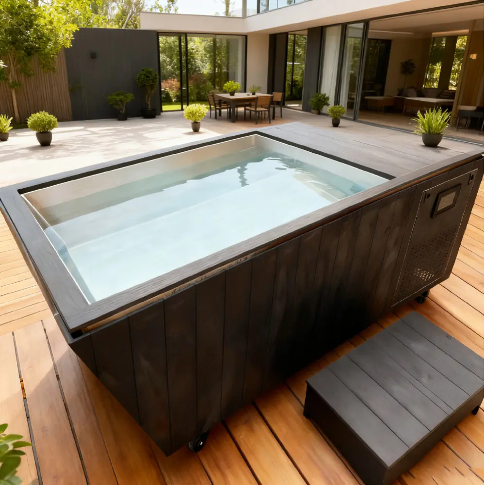 cold plunge therapy cold plunge therapy